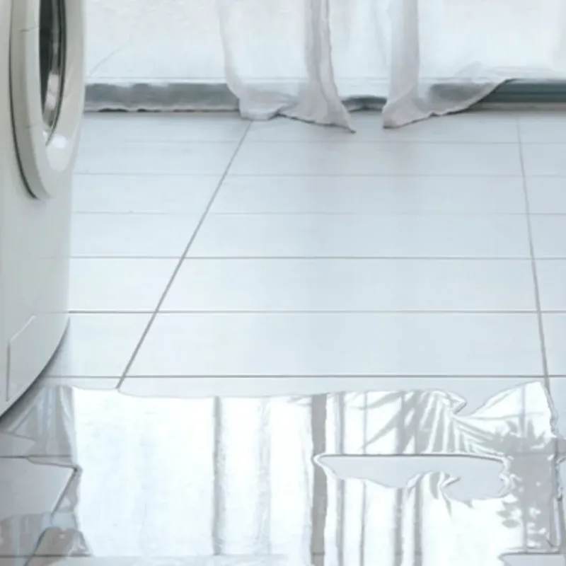 Appliance Leak Cleanup in Adams County, IL