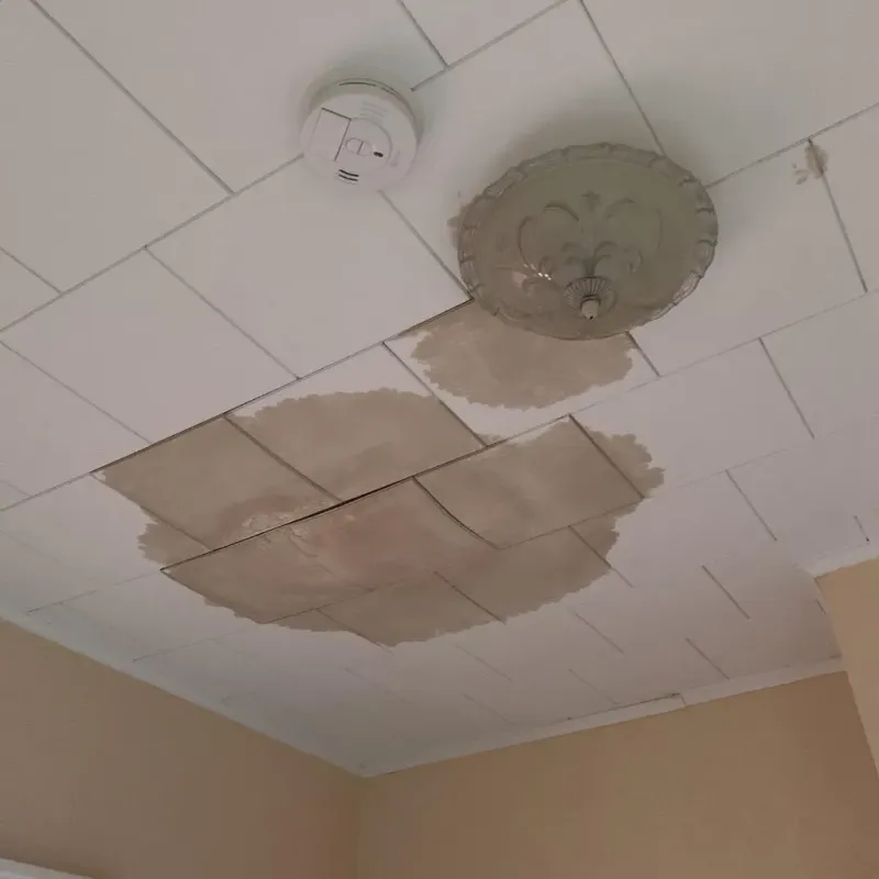 Ceiling Water Damage Repair in Adams County, IL