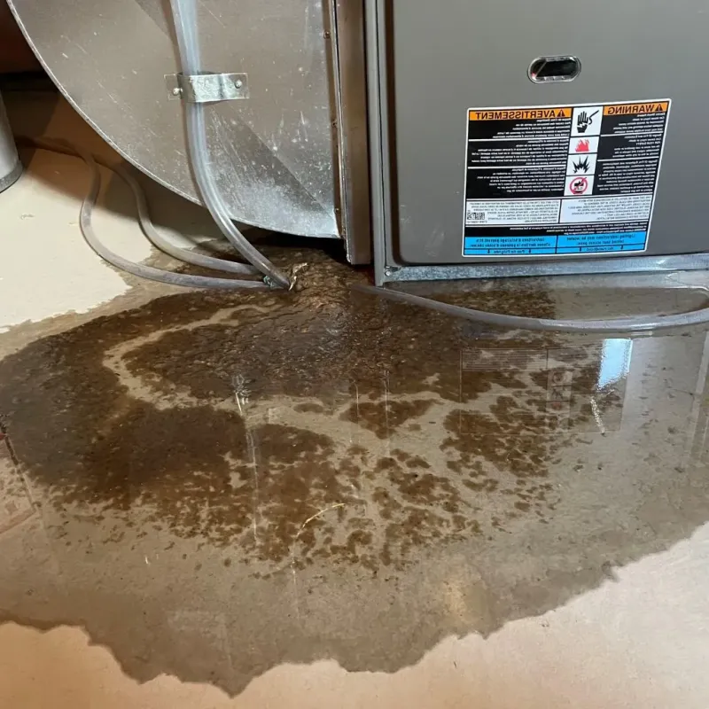 Pipe Burst and Leak Restoration in Adams County, IL