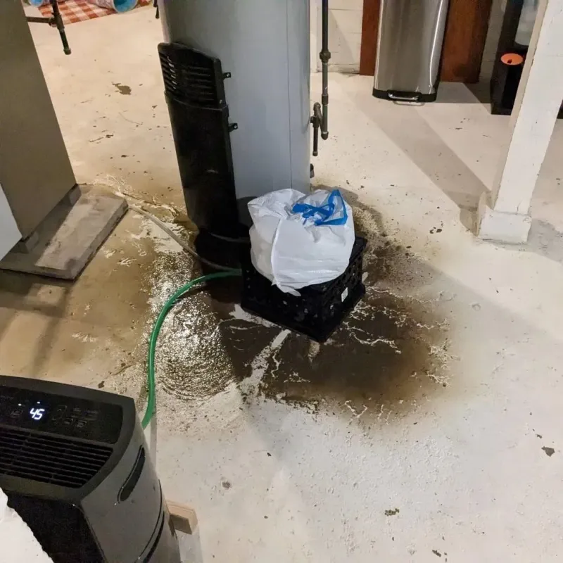 Sewage Backup Cleanup Service in Adams County, IL